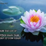 Hạn tam tai là gì. Ảnh đại diện
