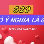 520 có nghĩa là gì. Ảnh bìa