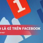 auto nghĩa là gì. Ảnh bìa