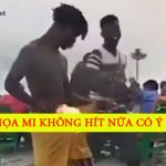 Họa mi không hót nữa. Ảnh bìa