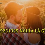 25251325 nghĩa là gì. Ảnh bìa