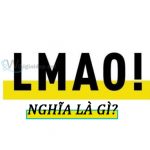 Lmao nghĩa là gì. Ảnh bìa