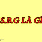 vsbg là gì. Ảnh bìa