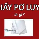 Giấy Pơ luya là gì. Ảnh bìa