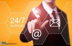 247 nghĩa là gì Cách phân biệt 247 với 2424