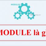 Module là gì. Ảnh bìa