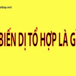 Biến dị tổ hợp là gì. Ảnh bìa